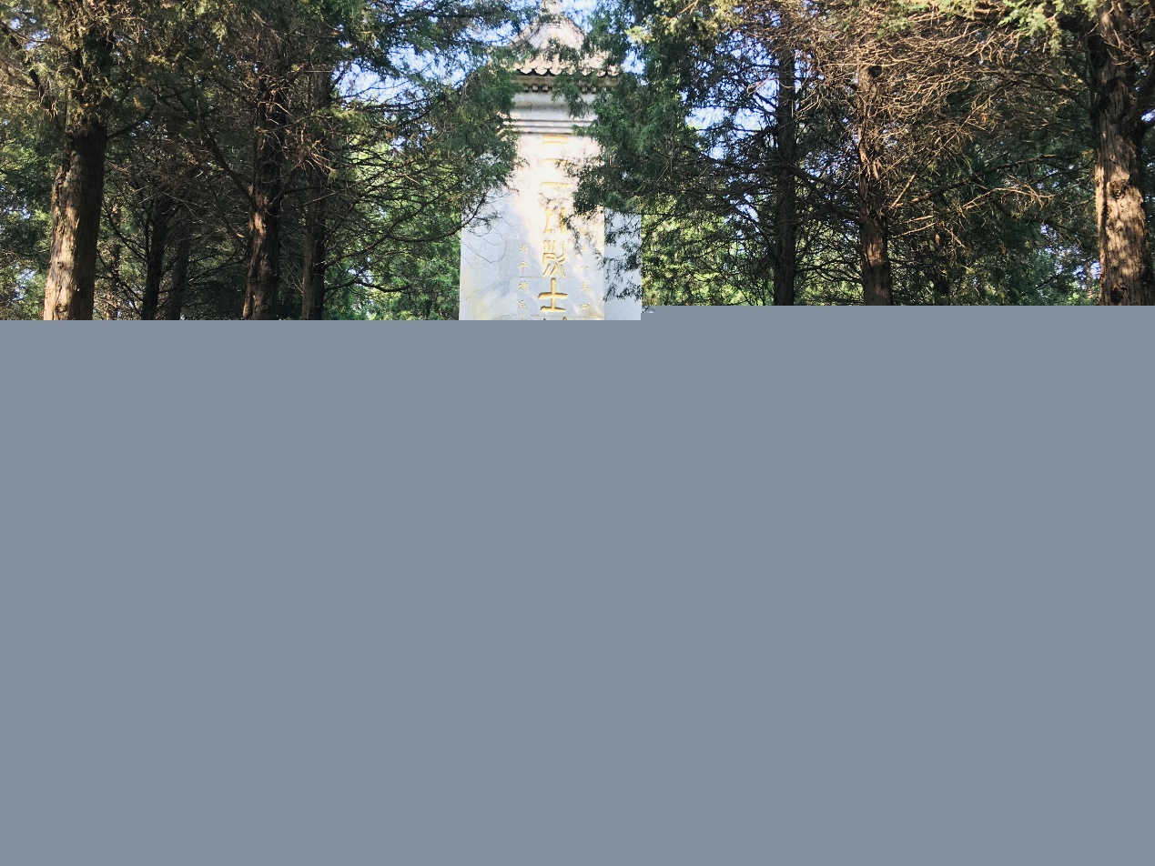 1641972269932657.jpg 1641972269932657.jpg